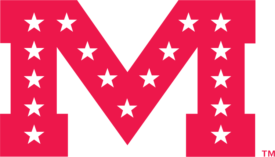 Mississippi Rebels 1983-2002 Secondary Logo DIY iron on transfer (heat transfer)